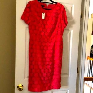 Pink Lace Talbots Dress